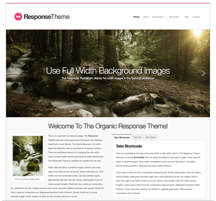 Response Theme