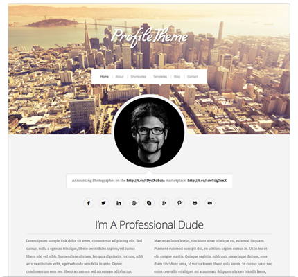 Profile Theme